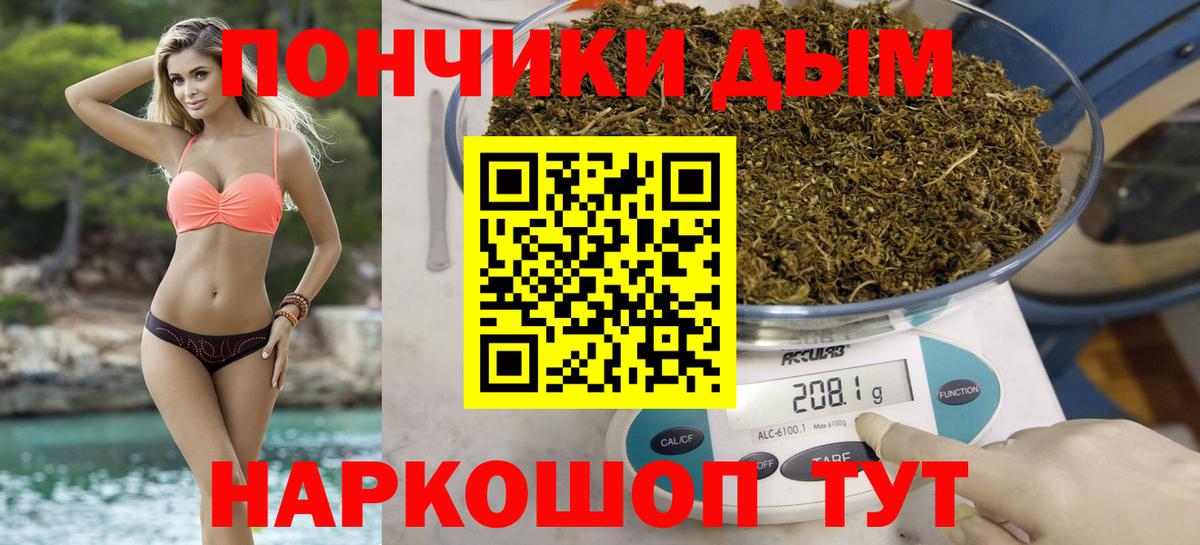 Конопля сатива  Вход с VPN  Бошки марихуана планчик  Канабис Bruce Banner  Ноябрьск 